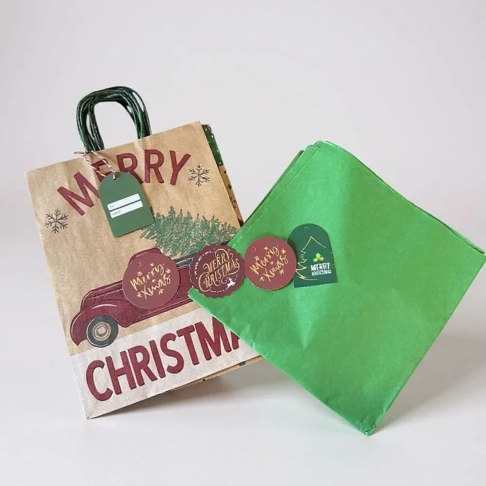 W20. Set of 5-All in 1 Christmas Gift Bags - Picture 3 of 3